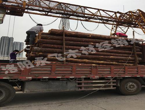 木材市场落叶松价格