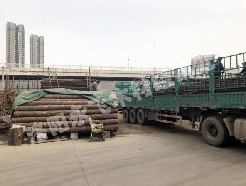 落叶松木材售价