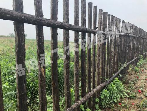 仿古建筑木材材质标准