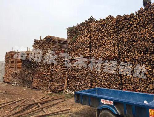 哪里有绿化支撑杆便宜