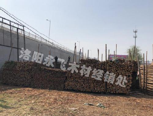 绿化支撑杆批发厂家