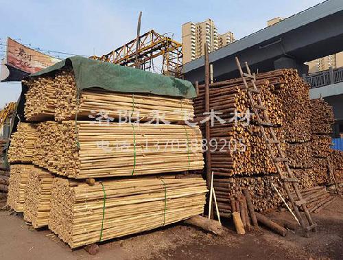 绿化支撑杆销售