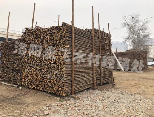 河南绿化支撑杆