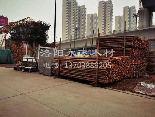 园林绿化支撑杆厂家