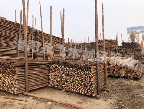 园林绿化树木支撑杆价格