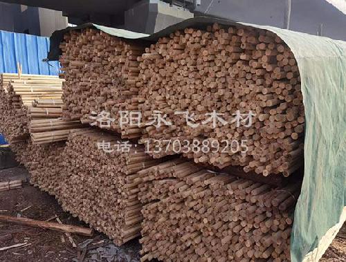 园林绿化树木支撑杆种类