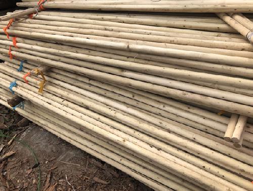 绿化树木支撑杆批发厂家