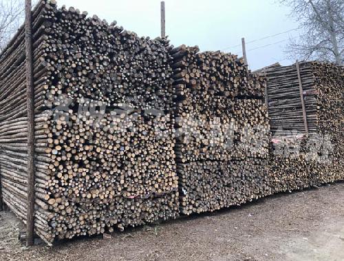 树木绿化支撑杆