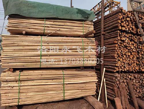 绿化支撑杆报价