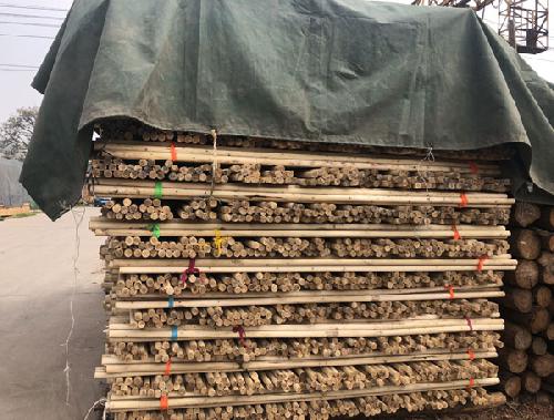 绿化树木支撑杆价格