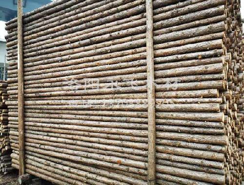 绿化支撑杆高度要求