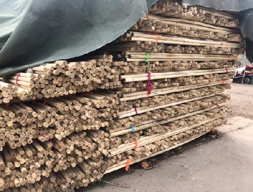 绿化用树支撑杆价格