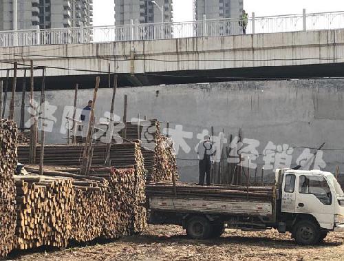 园林绿化支撑杆批发