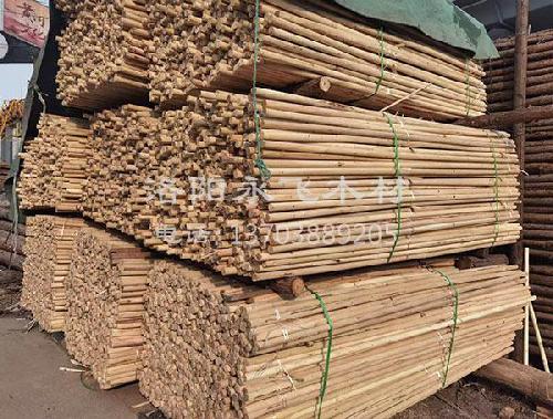 园林绿化苗木支撑杆