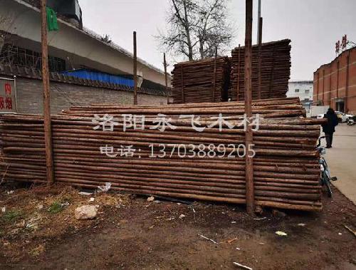 园林绿化树木支撑批发