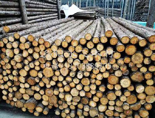 绿化苗木支撑杆规范