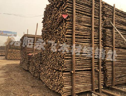 园林绿化支撑杆