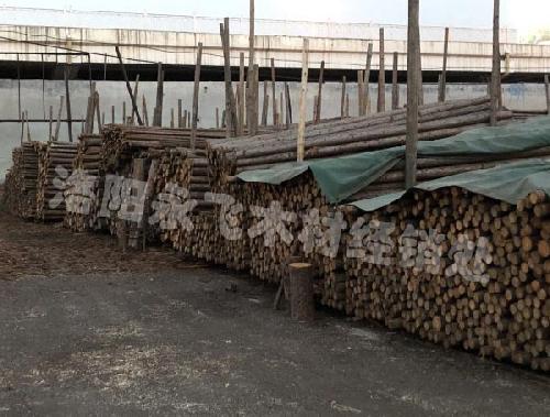 杉木杆批发市场