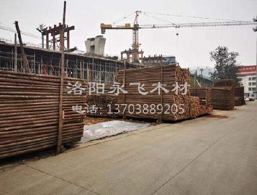 新干杉木绿化杆