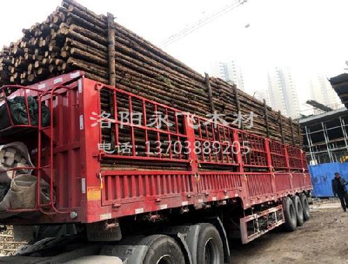 绿化用木支撑杉木杆