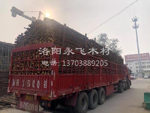 河南杉木杆销售厂家