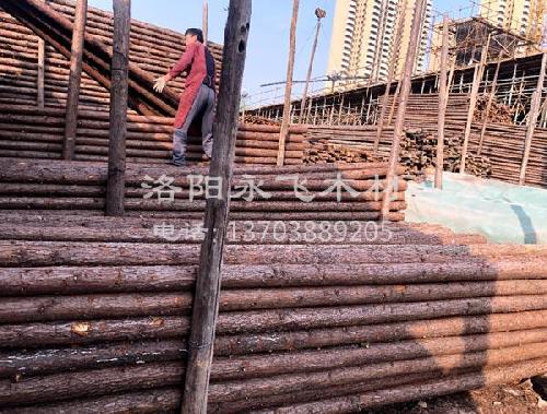 绿化用木支撑杉木杆价钱