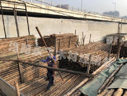 杉木杆多少钱一根