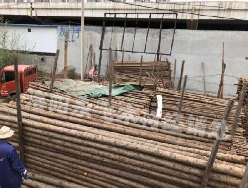 杉木杆绿化撑杆