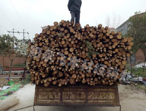 杉木杆批发厂家