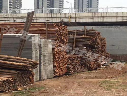 杉木杆支撑杆批发