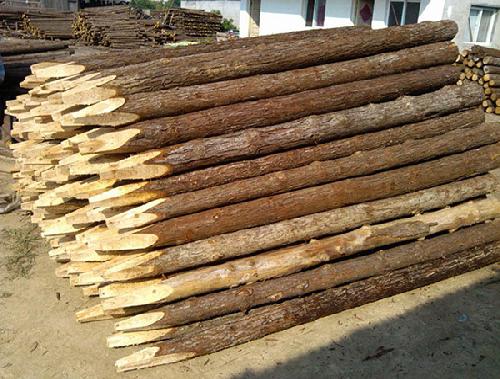 打桩木批发价格