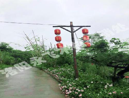 仿古建筑木材市场的市场价格