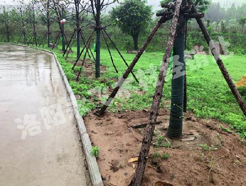 仿古建筑木材批发