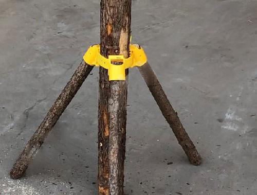 绿化支撑绑带应用