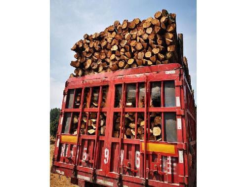 木材装运