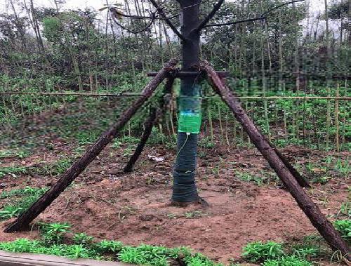 仿古建筑木材批发厂家