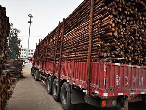 哪里有卖杉木杆