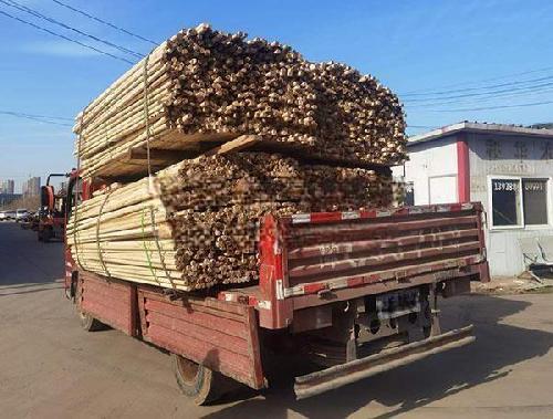 绿化树木支撑杆